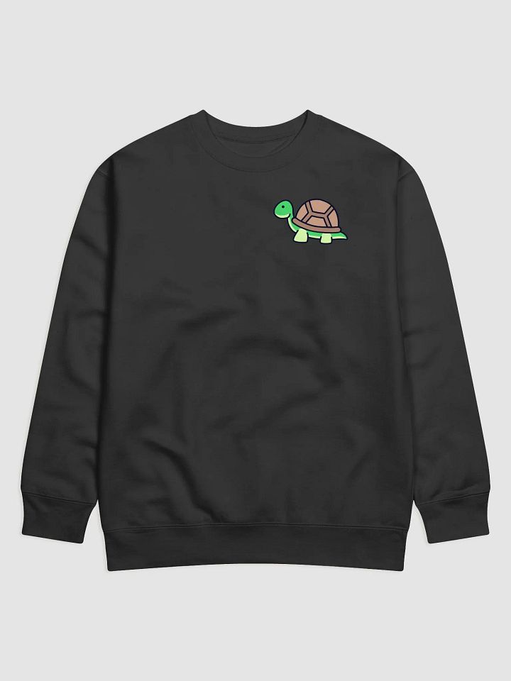 Turtle Dino Jumper product image (1)