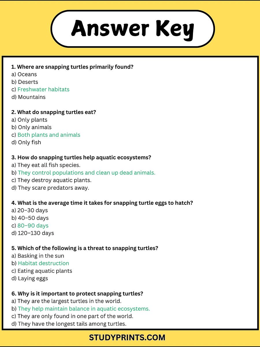 Snapping Turtle Reading Comprehension Passage with Questions product image (4)