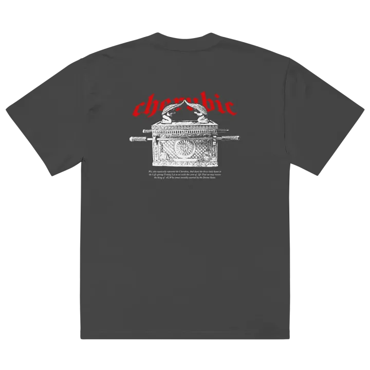 Cherubim Oversized Tee product image (1)