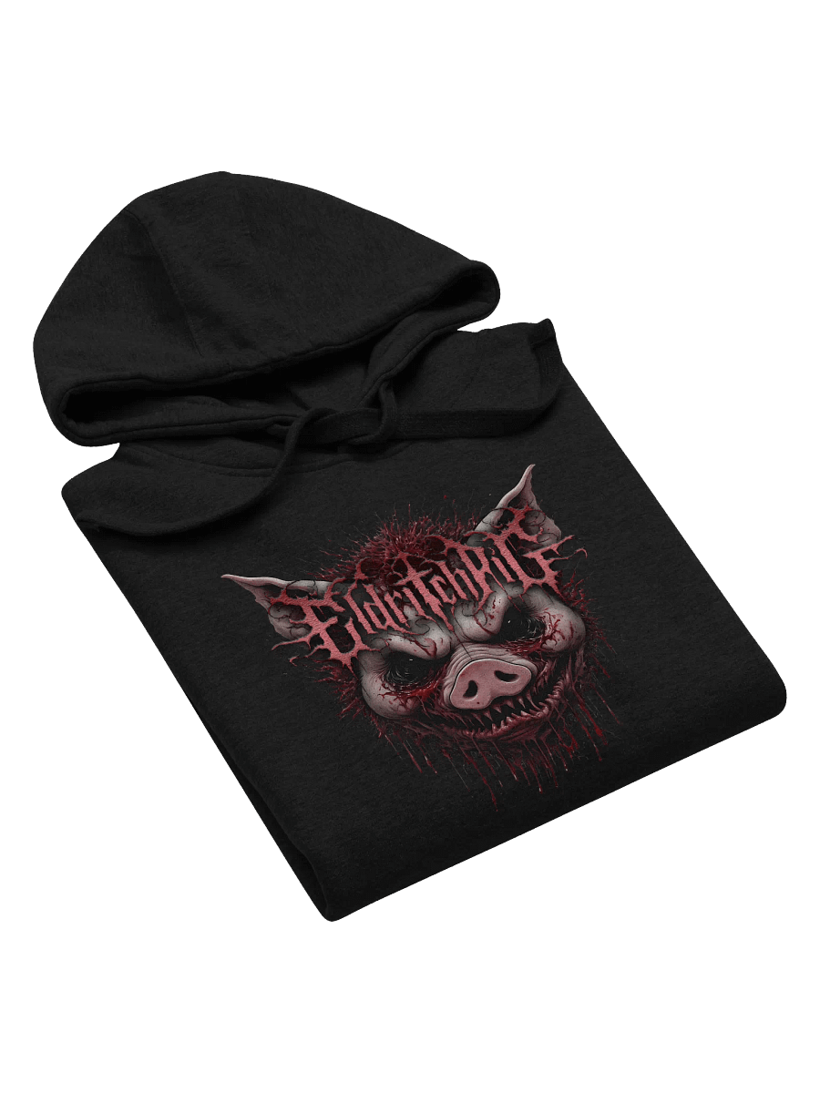 EP 2024 Hoodie product image (5)