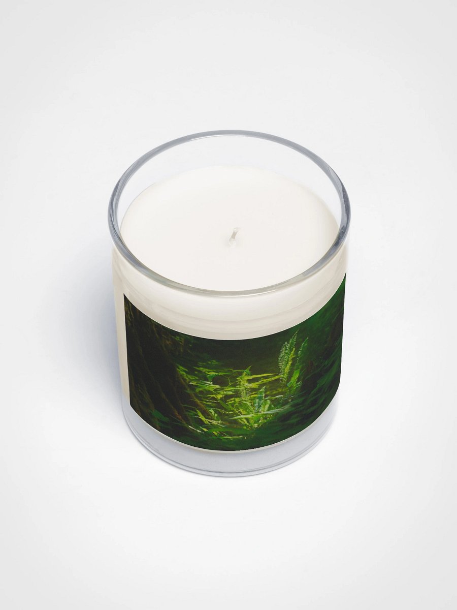A little shot of sunshine in the wood's Soy Wax Candle product image (3)