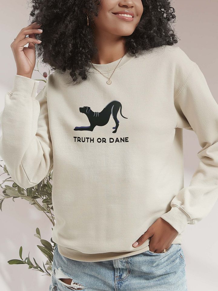 Truth or Dane Sweatshirt (Embroidered) of a Great Dane(Black) product image (2)