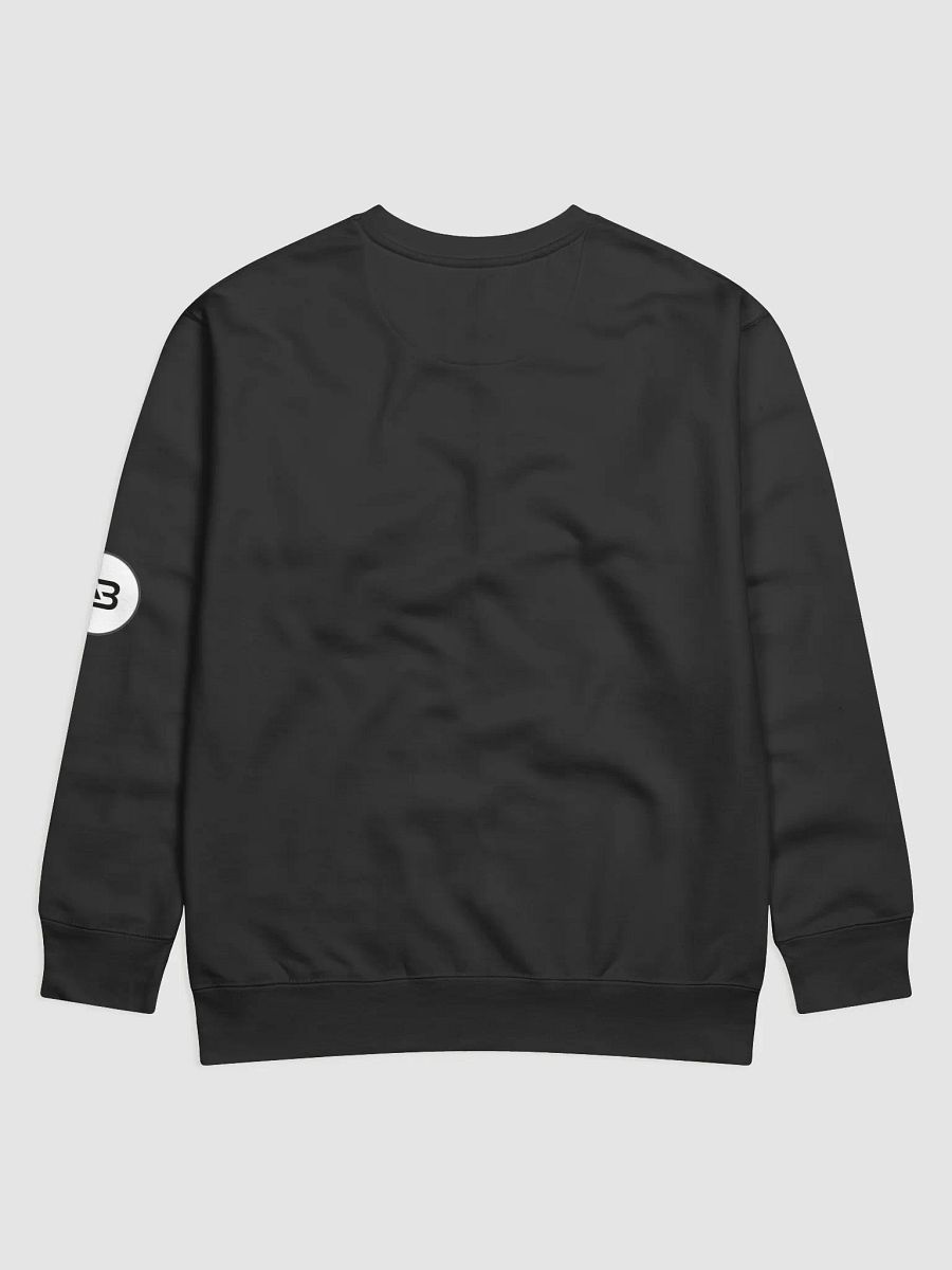 ABVOLLEYBALL Solid Round Neck Cotton Fleece Sweatshirt for Unisex product image (2)