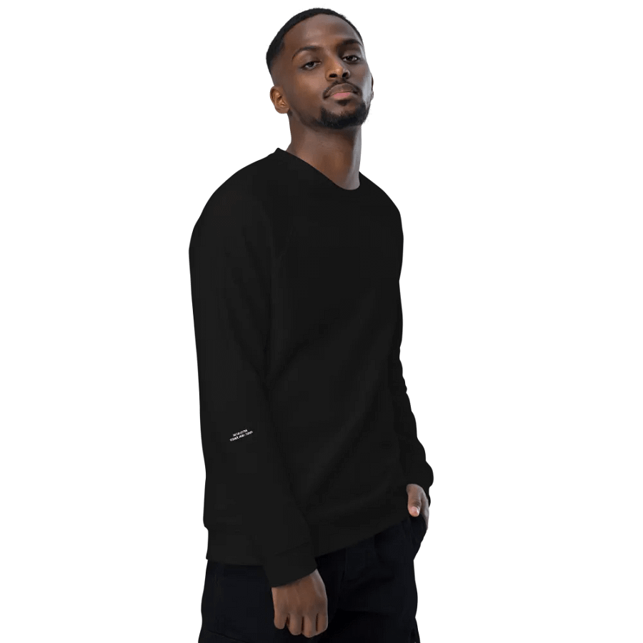 USA Sweatshirt product image (10)