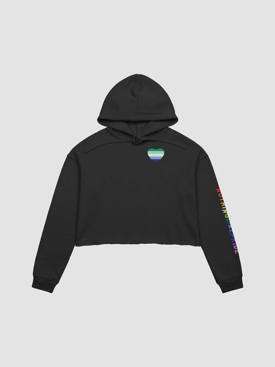 MLM Pride Cropped Hoodie product image (1)