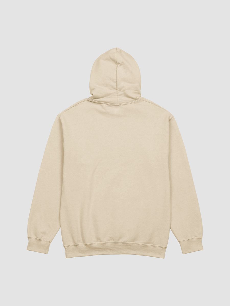 hoodie : pride bookstack product image (43)