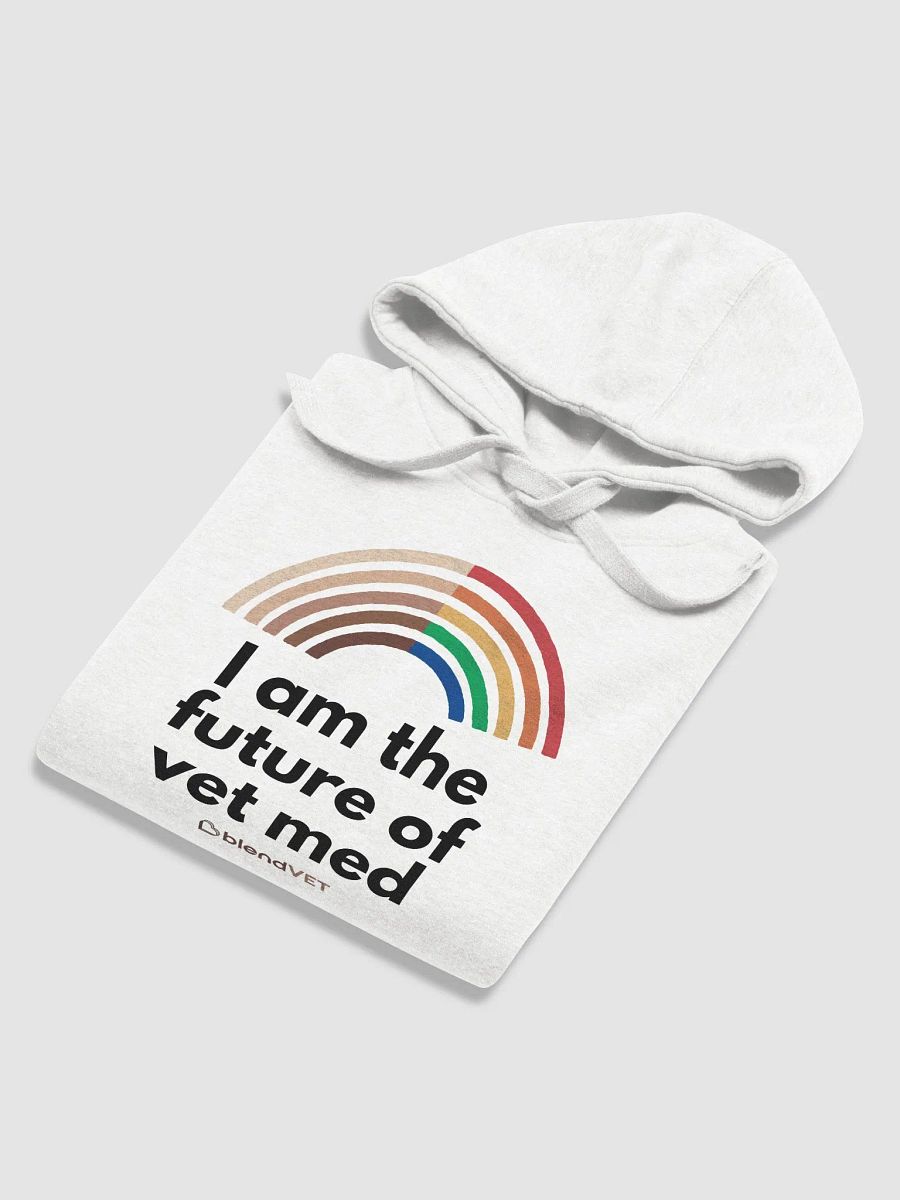 Pride - Future of Vet Med Hoodie product image (6)