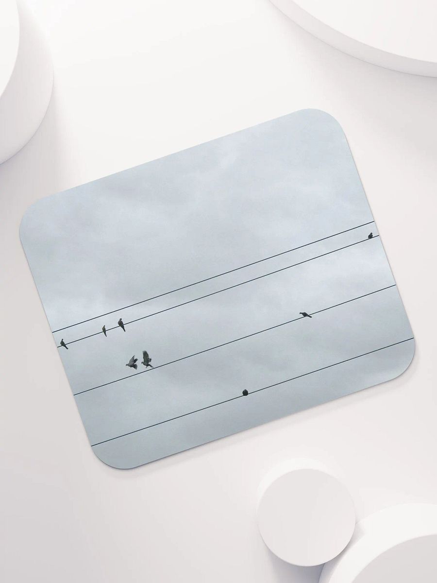 Bird Power product image (7)