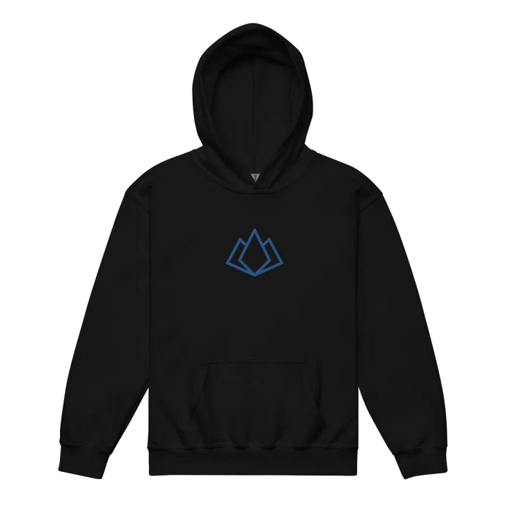 Youth Hoodie - Embroidered product image (4)