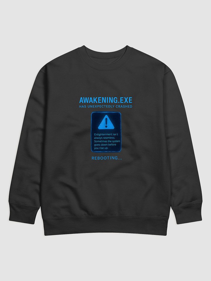Awakening.exe Has Unexpectedly Crashed product image (5)