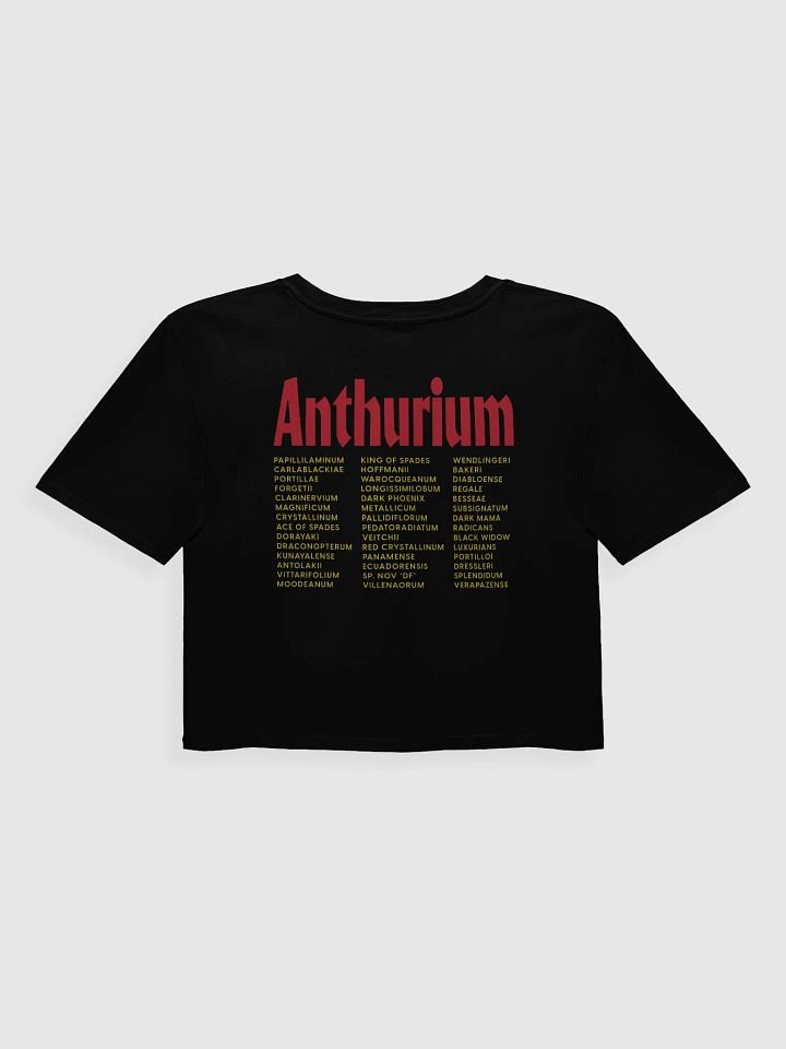 ⚡️ ANTHURIUM WORLD TOUR ⚡️ crop top product image (2)