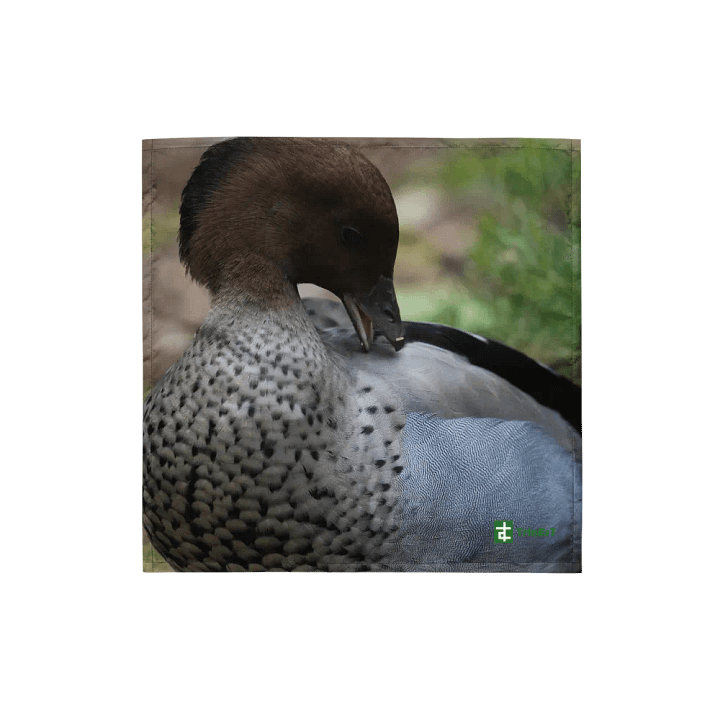 Duck Bandana product image (1)