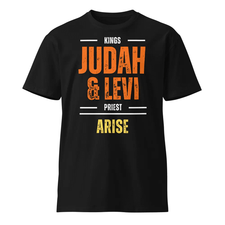 PHS Judah & Levi Arise #002 product image (1)