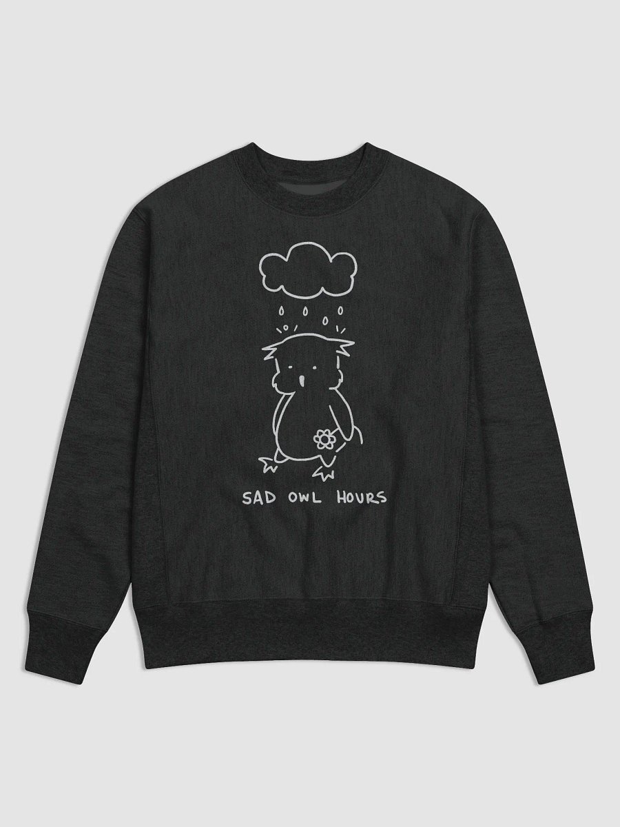 Sad Owl Hours Champion Cotton Max Sweatshirt (Black) product image (1)