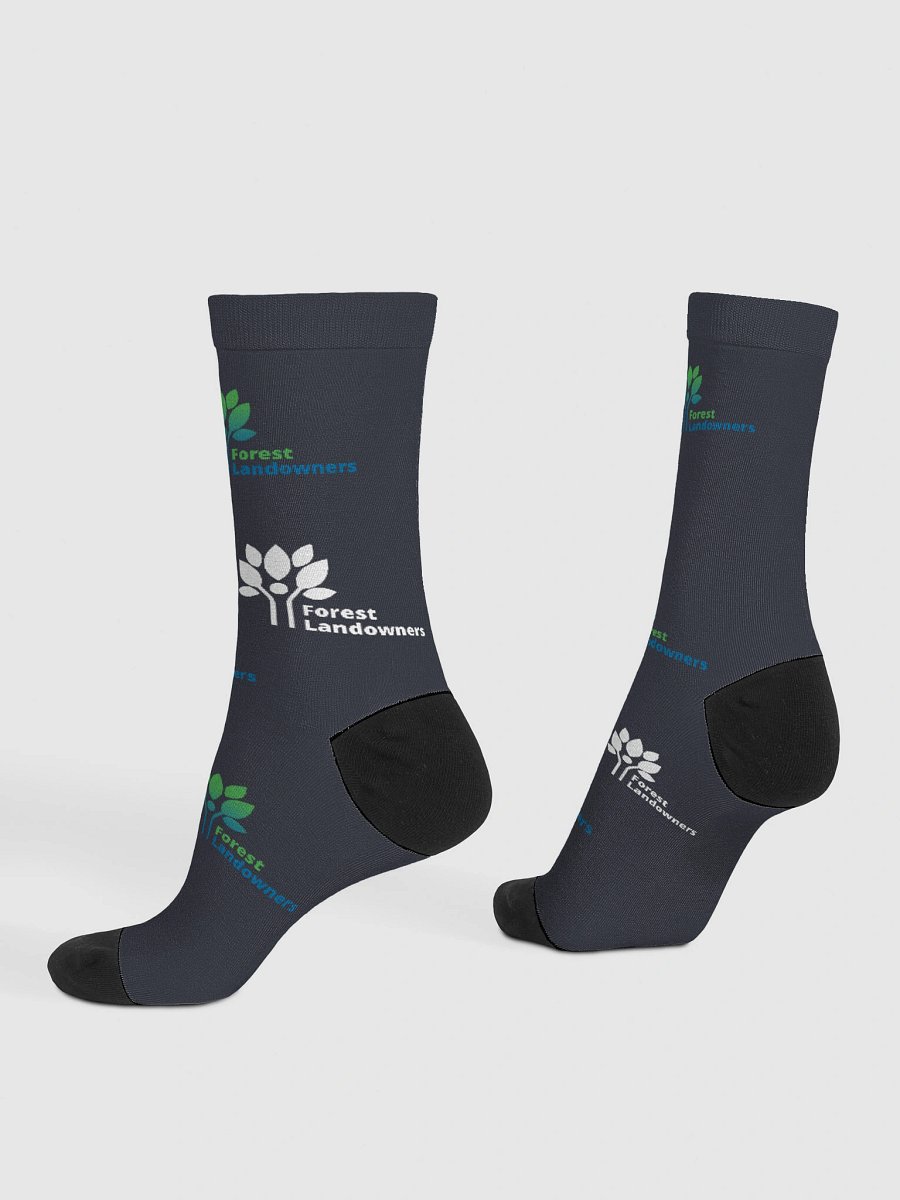 FLA logo socks product image (4)