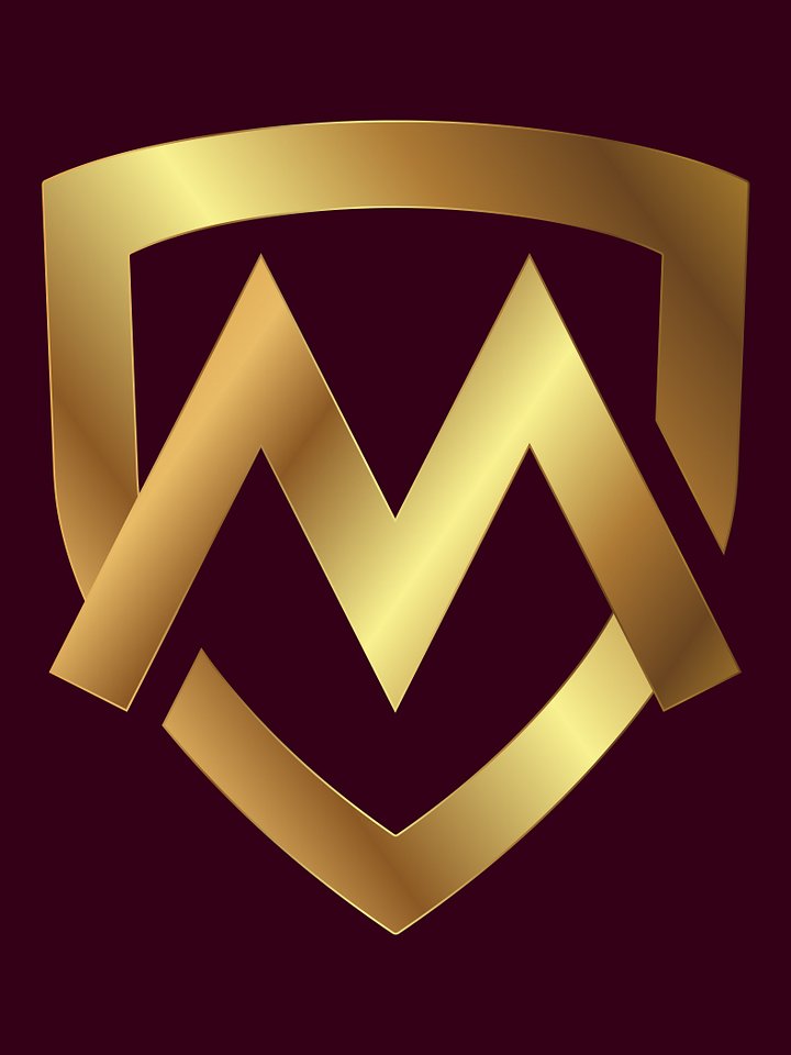 Customisable Smart Luxury Logo Design for Your Premium Brand product image (2)