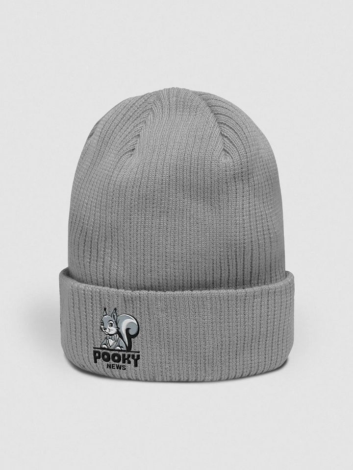 Organic Cotton Embroidered Beanie: Pooky News product image (2)