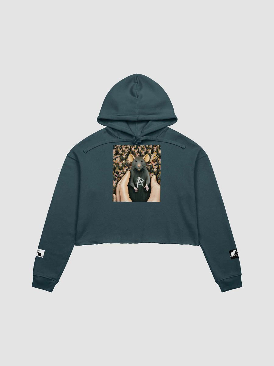 Anarchy Rat (Team Rat branded) cropped hoody product image (6)