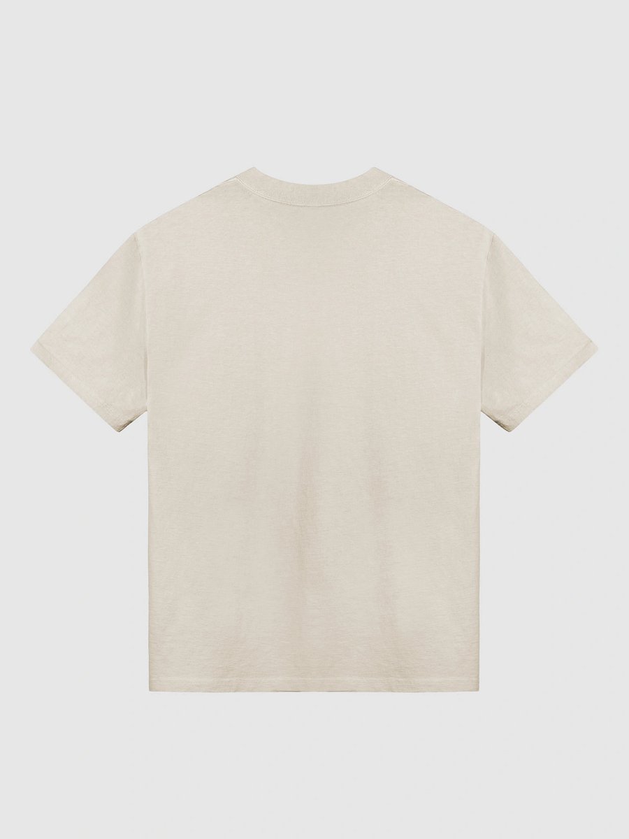 Nostalgic Elegance Faded 'Probably Late But Looking Great' T-Shirt product image (2)