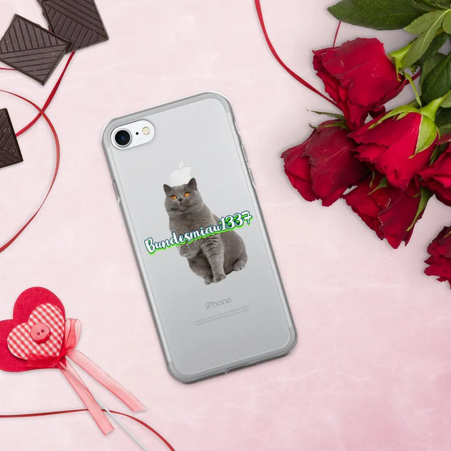 Fan Hülle iPhone durchsichtig product image (335)