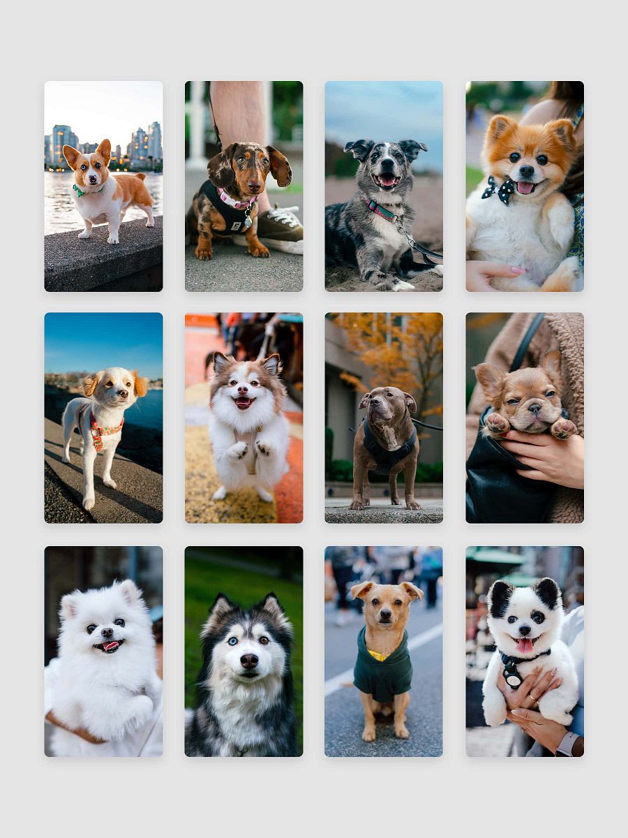 Wallpaper Pack product image (2)