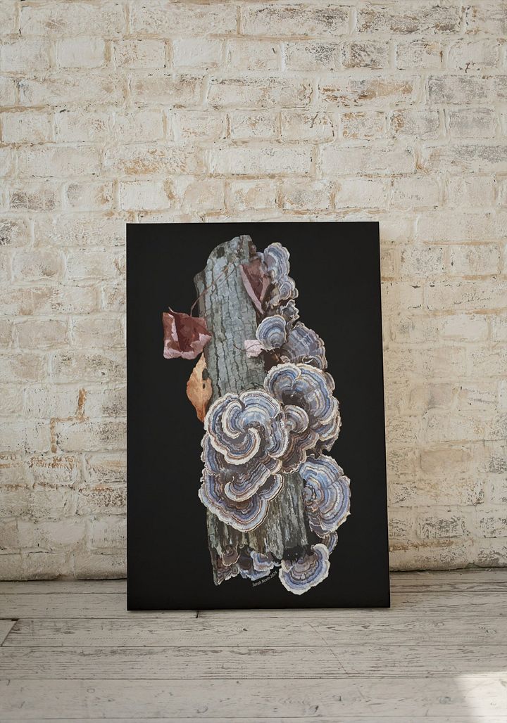 Turkey Tail 24x36 inch Canvas Print product image (1)