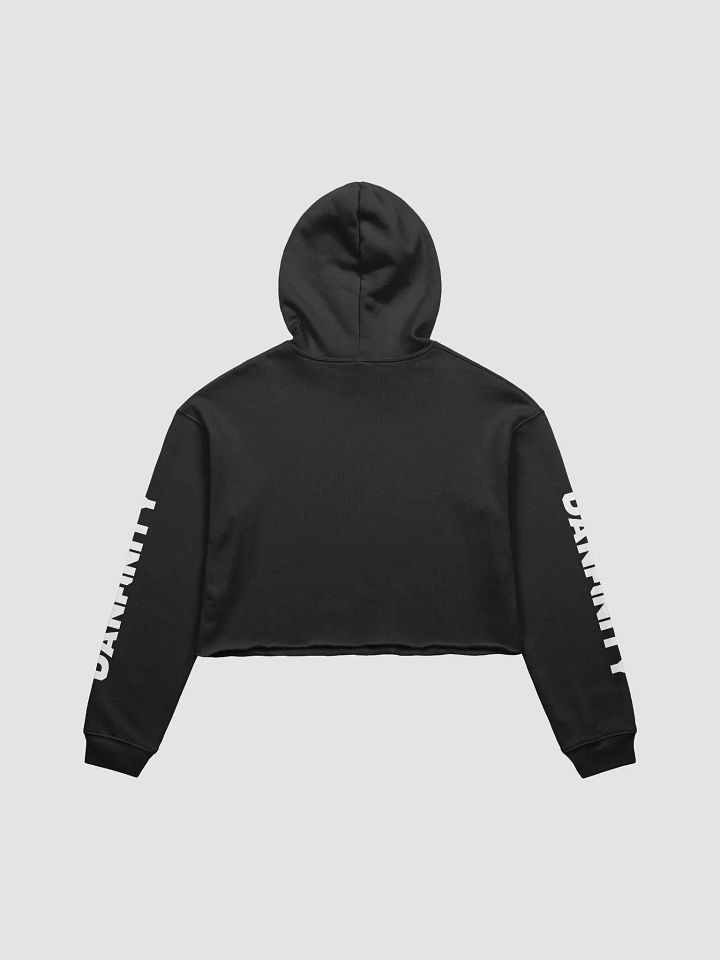Danfinity Logo Crop Hoodie product image (2)
