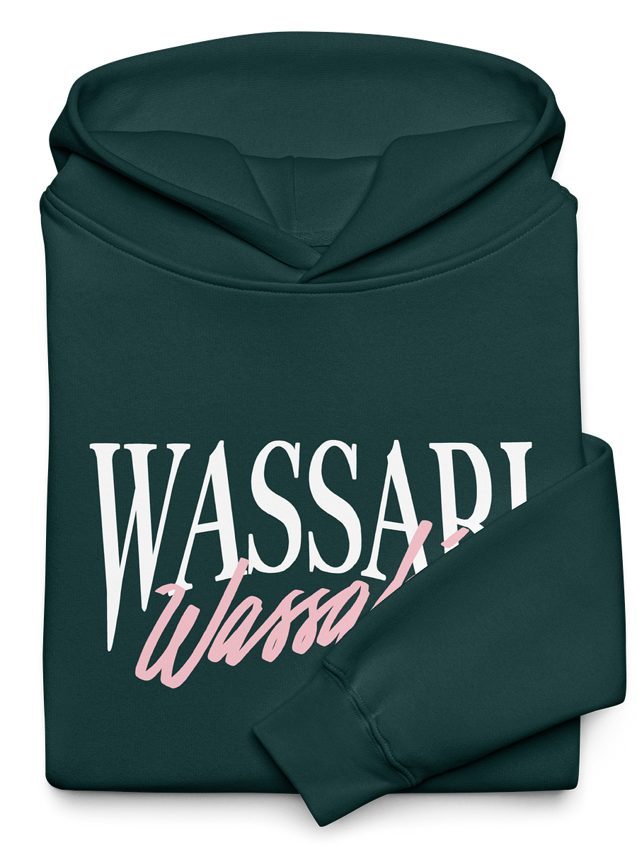 Wassabi Oversized Blue and Green Hoodie product image (3)