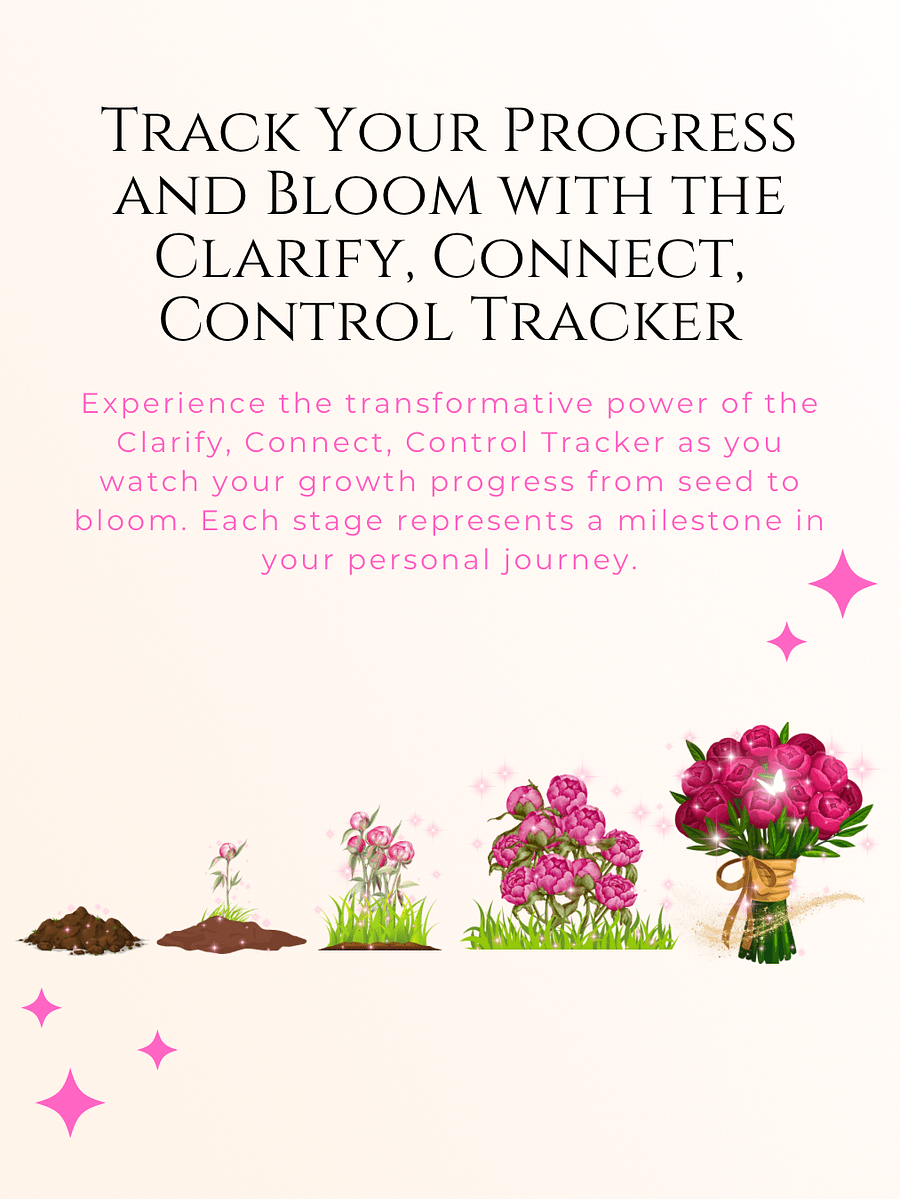 Clarify, Connect, Control Tracker product image (6)