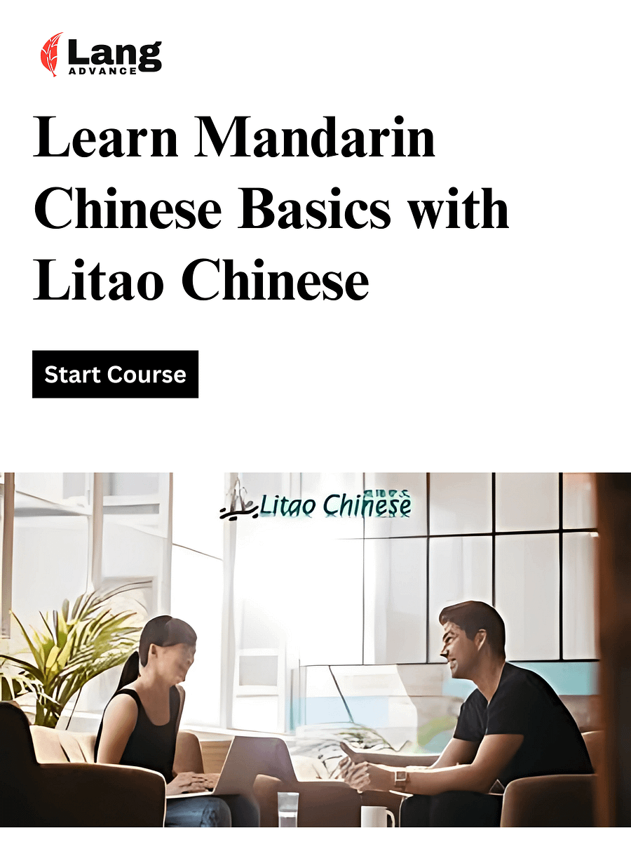 Learn Mandarin Chinese Basics with Litao Chinese product image (1)