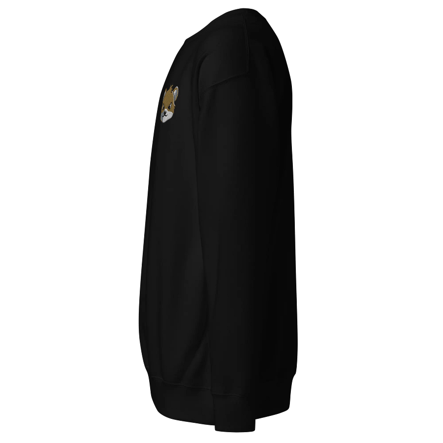 Face Embroidered Premium Sweatshirt product image (17)