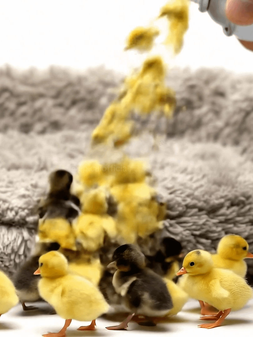 Tiny Animals Spray Prompt product image (2)