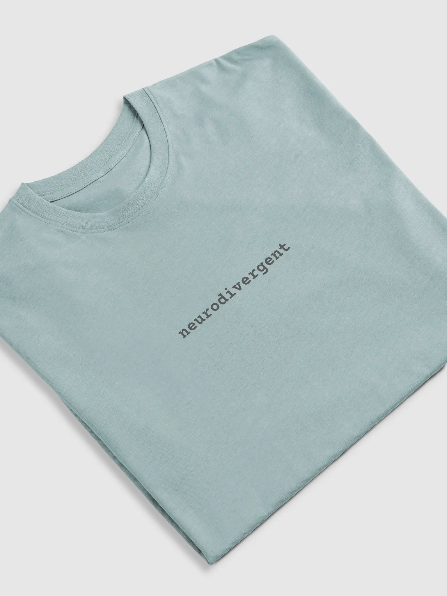 Neurodivergent Premium Heavyweight Tee product image (5)