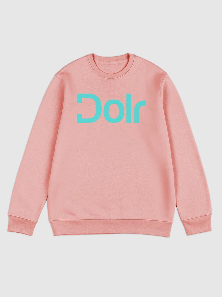 Dolr Sweatshirt product image (3)