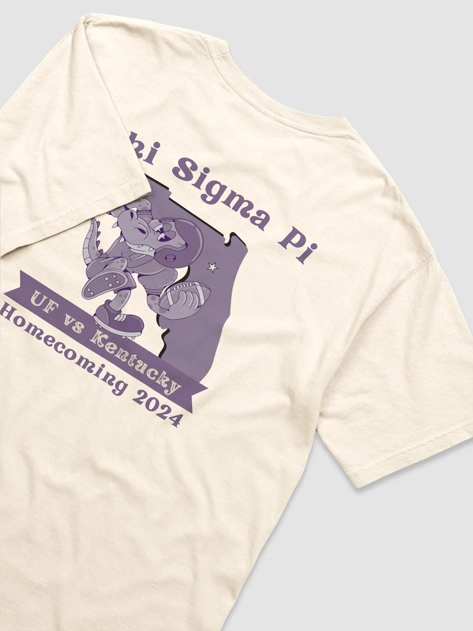 Phi Sig Homecoming Shirt product image (4)