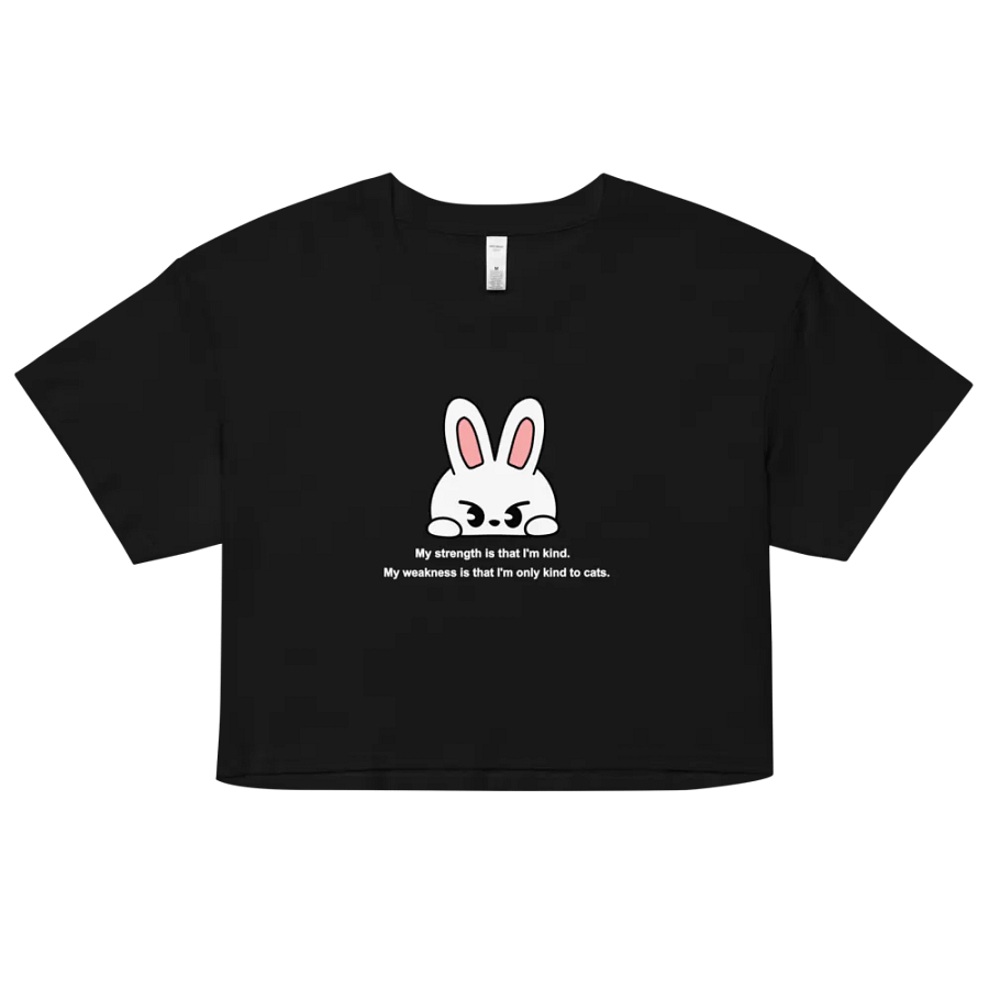 Lee Know Quote Crop Top product image (7)