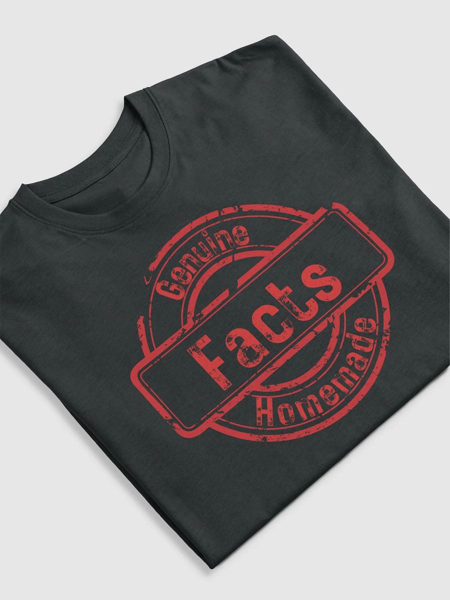 ETHANBOMB - FACTS T-SHIRT product image (5)