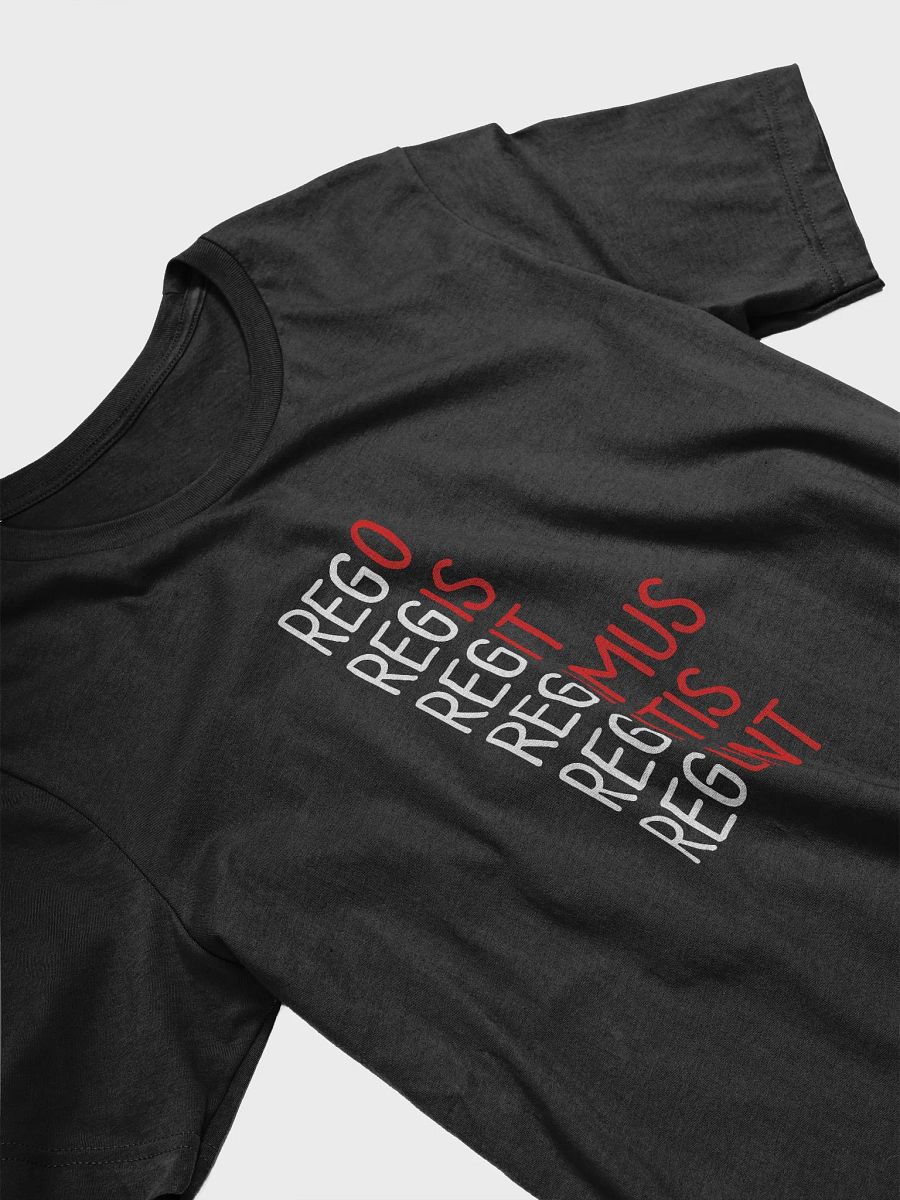 Latin Verb Declensions TShirt product image (7)