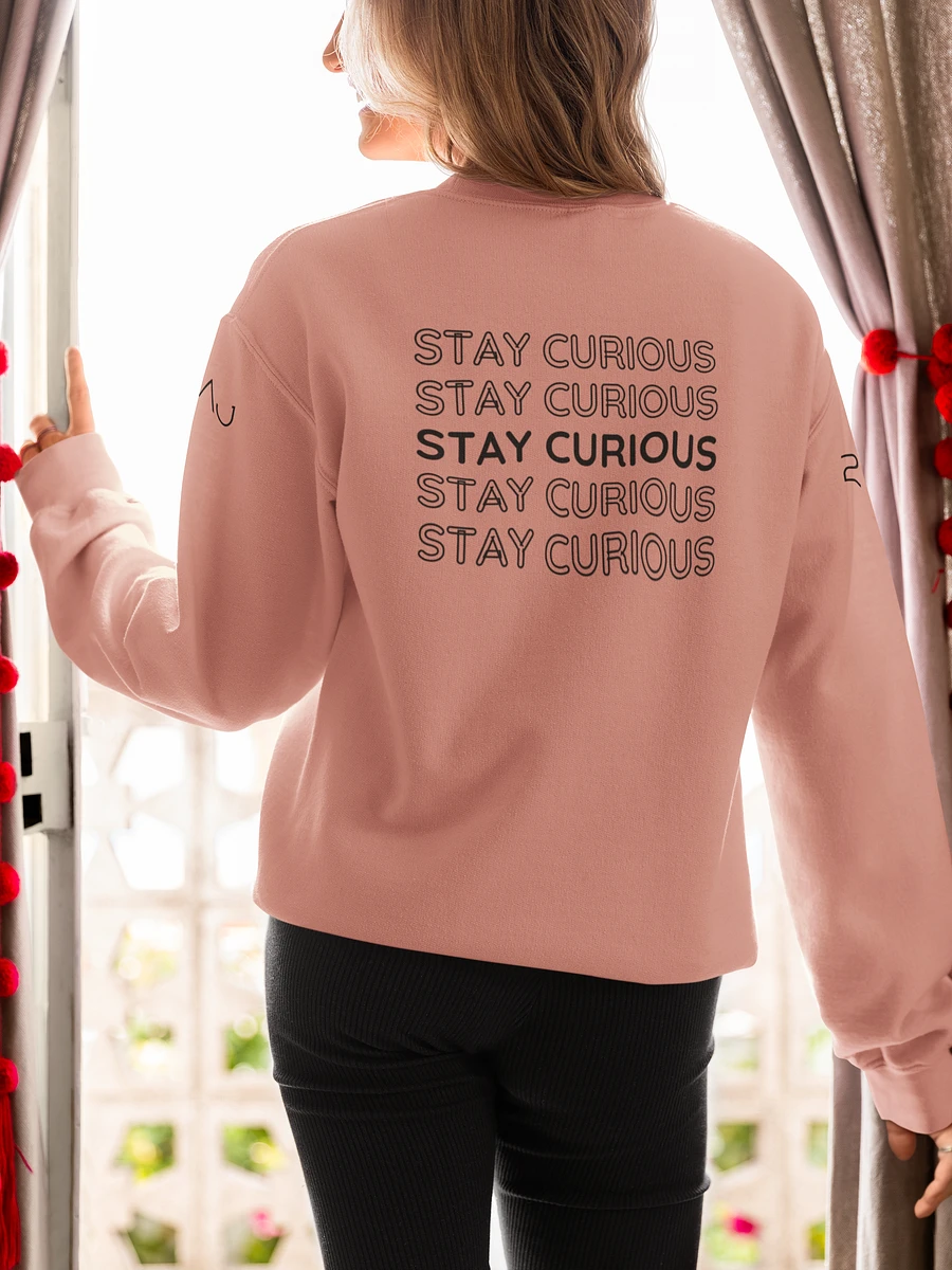 Goggles the Wise Monkey | Premium Sweat Shirt | Pocket Companion | Remember to Always Stay Curious | Empowerment Shirt product image (3)