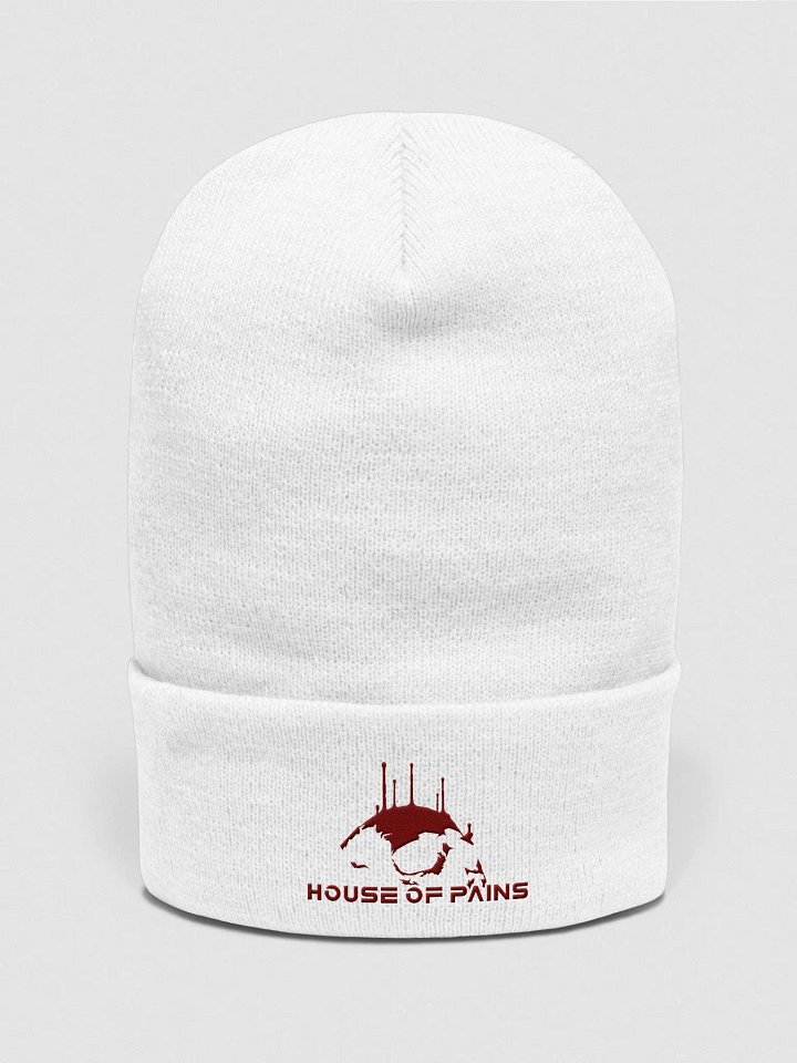 House of Pains Beanie product image (2)