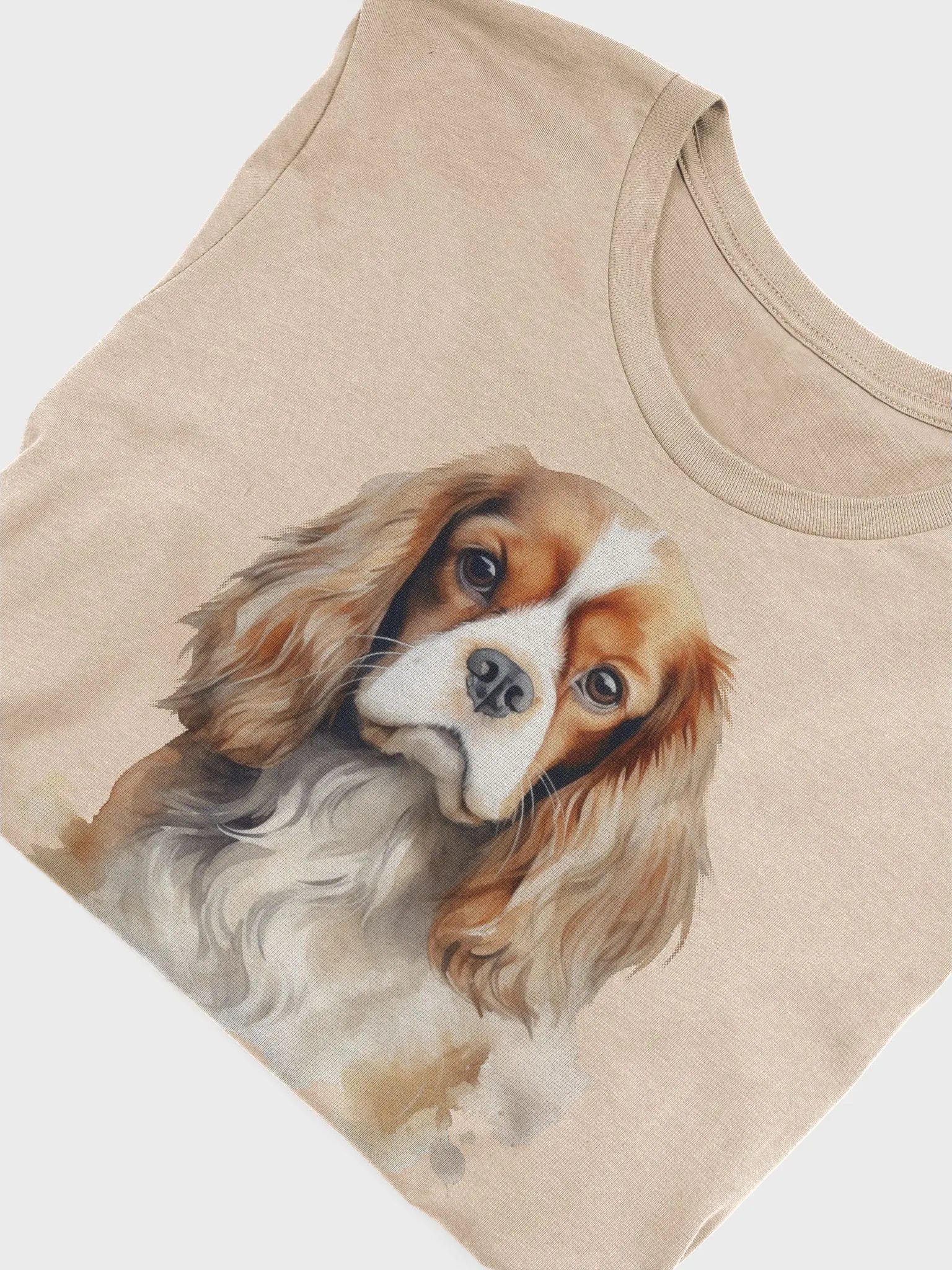 Cavalier King Charles Spaniel product image (3)