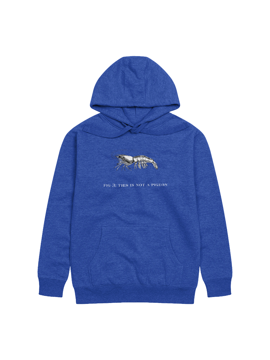 Not A Pigeon- Prawn Hoodie product image (28)