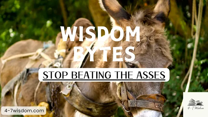 Wisdom Bytes: Stop beating the asses product image (1)