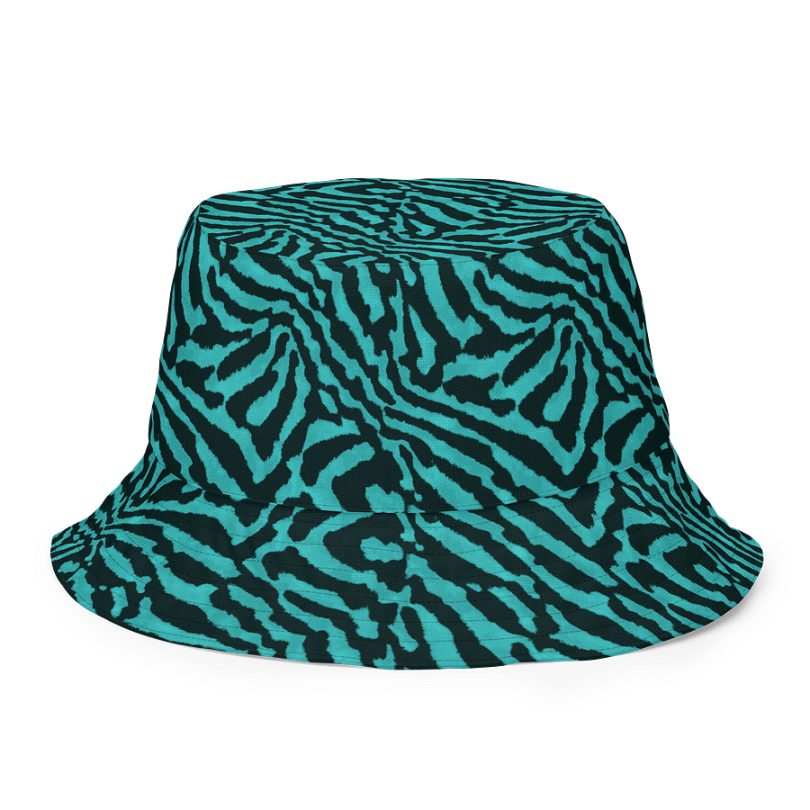 Teal Zebra Hat product image (1)