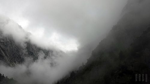 On the slopes of desolation…… ©EmiliaElec
.
.
.
.
.

#exploreearth #visualsofearth #divineforest #moodylandscape #depthsofear...