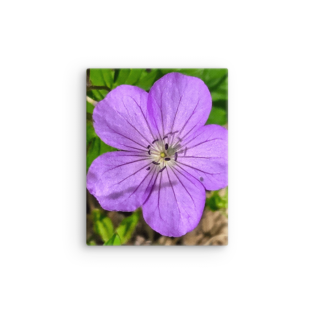 Purple Petal Thin Canvas product image (12)