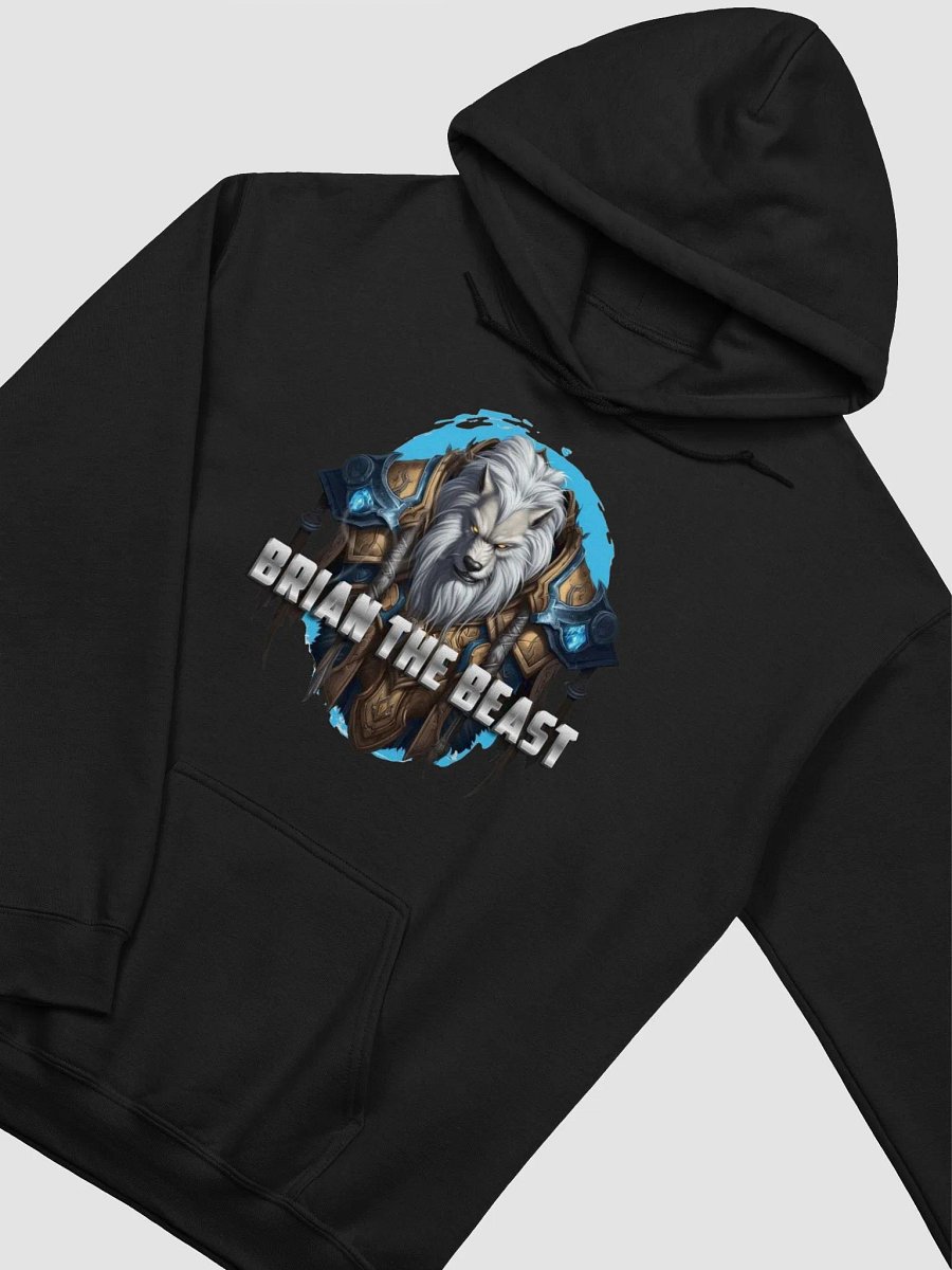 BTB Classic Logo Pullover Hoodie product image (1)