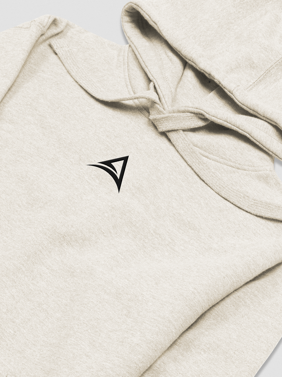 ASCENDANCY Premium Hoodie // Embroided Logo Black product image (14)