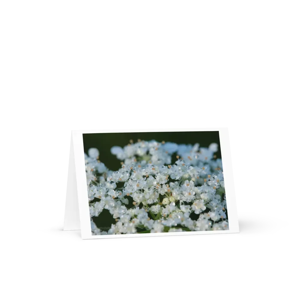 Dew Lace Greeting Card product image (3)