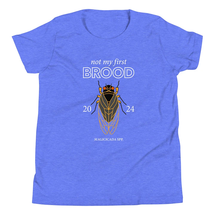 Not My First Brood Tee (Youth) product image (1) Image 1